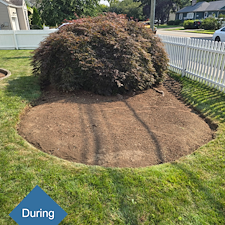A-Fresh-Start-Planting-Landscape-Design-in-Stratford-CT 4